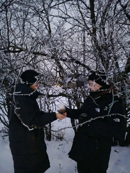 IMG_20251221_163302_183