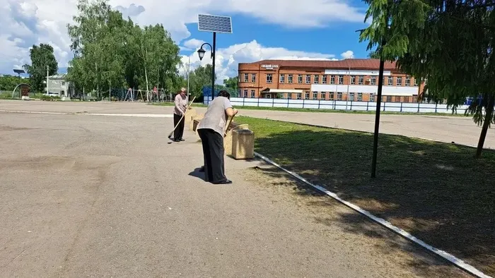 i (1)